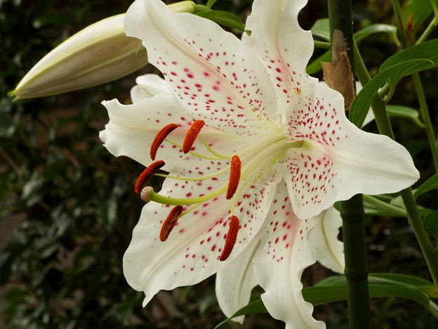 DSCF0067