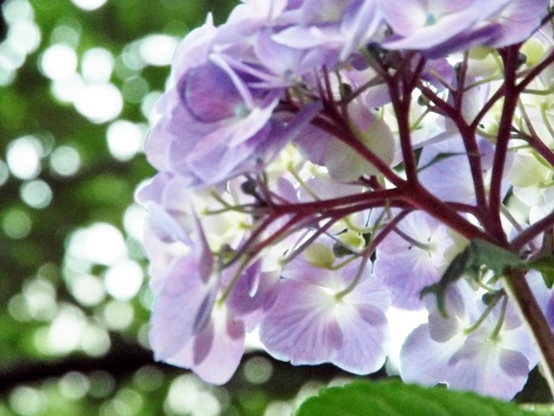 DSCF1147