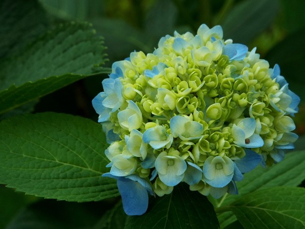DSCF1026