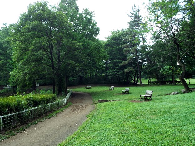 DSCF0193