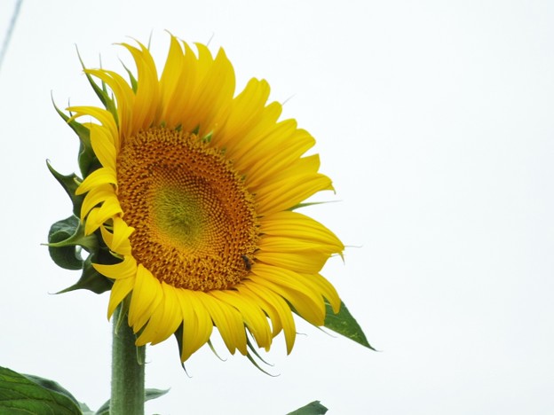 DSCF0059
