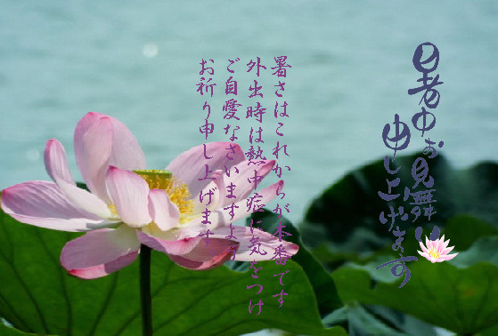 暑中5