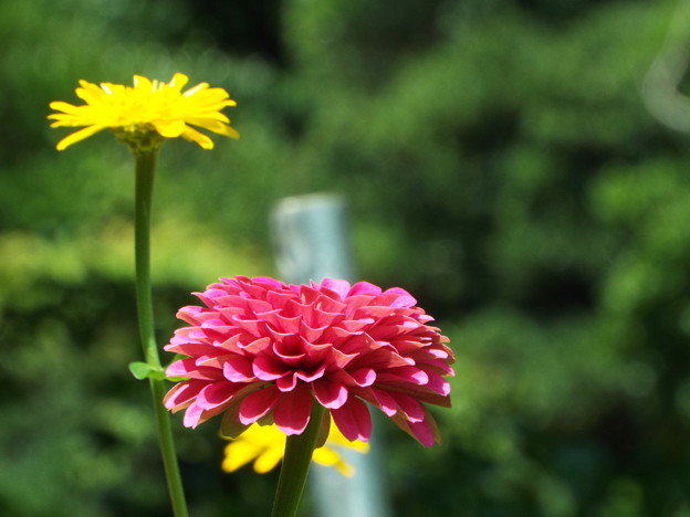 DSCF0403