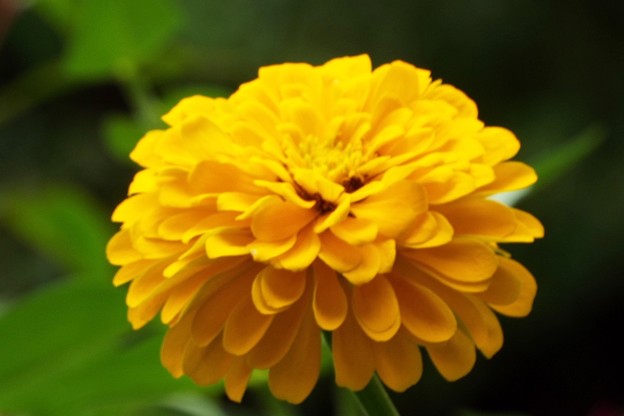 DSCF0287