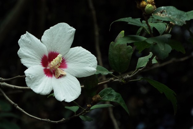 DSCF0035