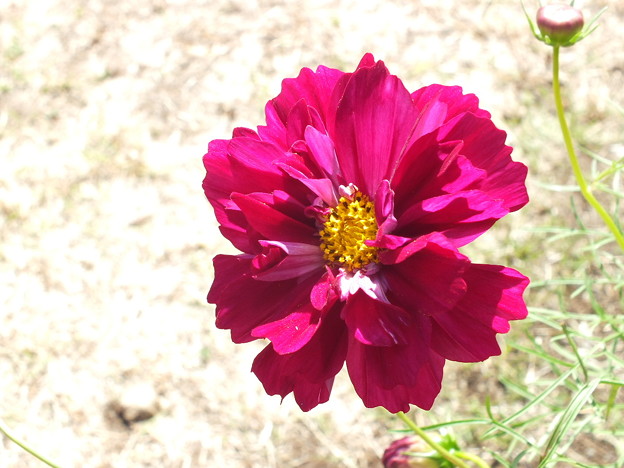 DSCF0188