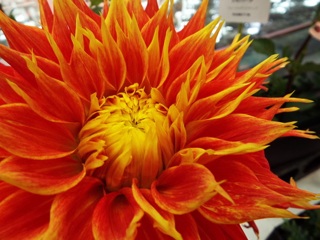 DSCF0319