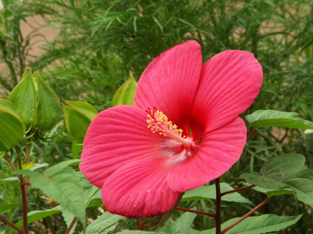 DSCF0503