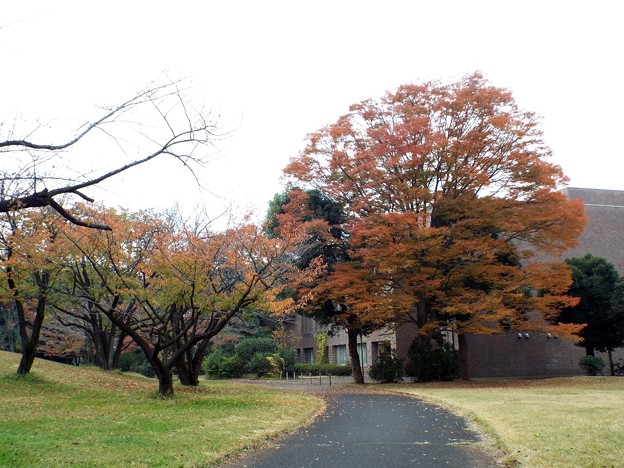 DSCF0070