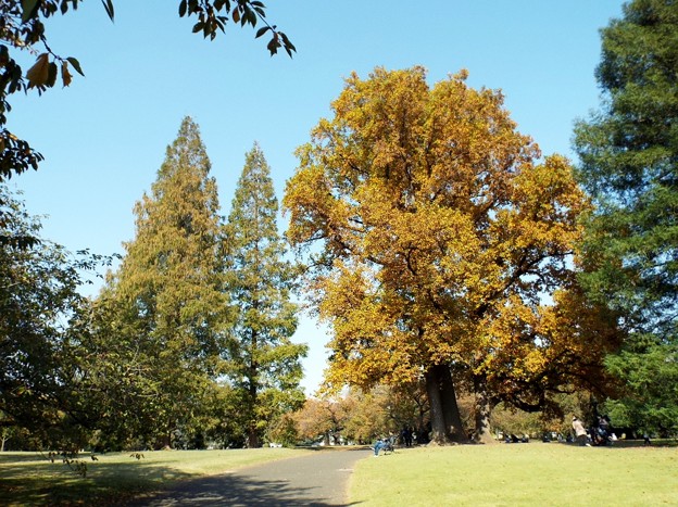 DSCF0269