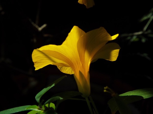 DSCF0077