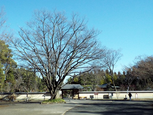 DSCF0133