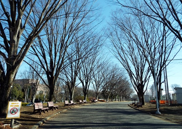 DSCF0124