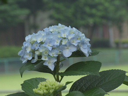 2011_06260101