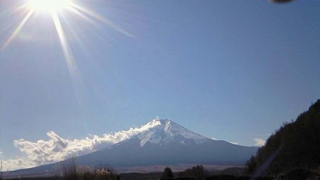 写真は逆光で撮れ