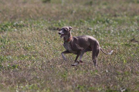 IMG_7898