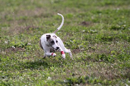 IMG_8054