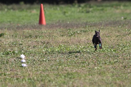 IMG_8436