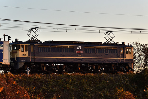 Ef65 65牽引鹿島貨物1092ﾚ 北浦橋梁 写真共有サイト フォト蔵