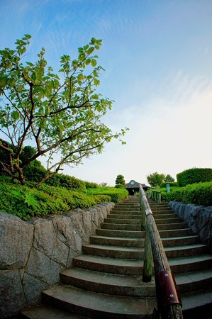 柴又公園