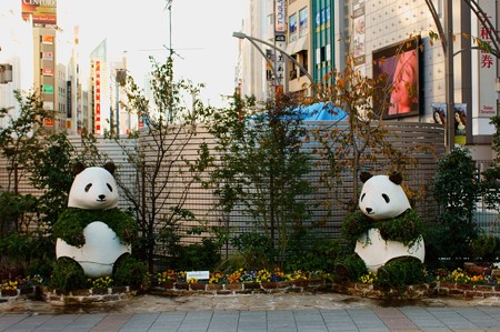 上野公園 公園前交差点 植物パンダ