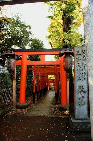 花園稲荷神社・五條天神社