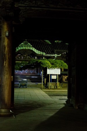 柴又帝釈天　山門の外から