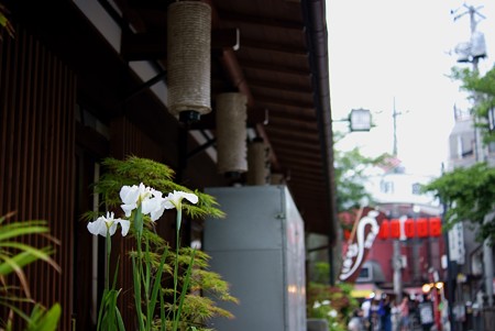 柴又帝釈天　参道