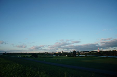江戸川土手