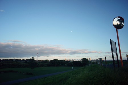 江戸川土手