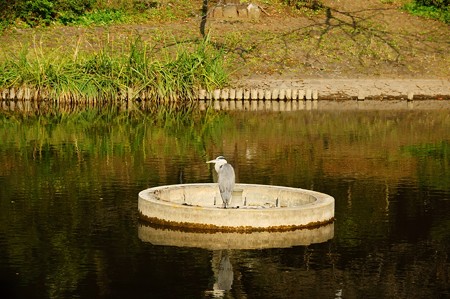 じゅんさい池緑地