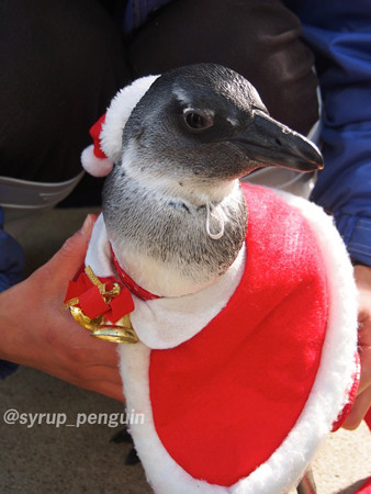 20141222 東北 ふくしさん01