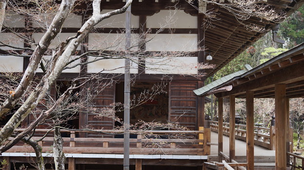 DSC01845