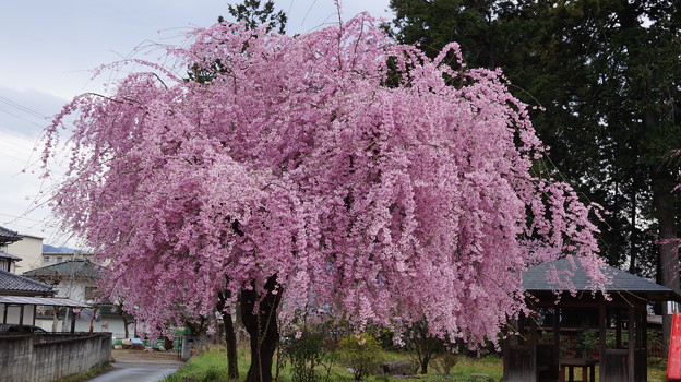 DSC01892