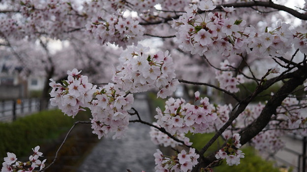 DSC01912