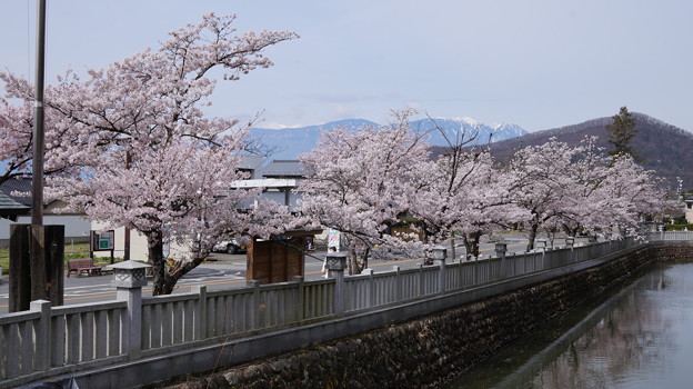 DSC01969
