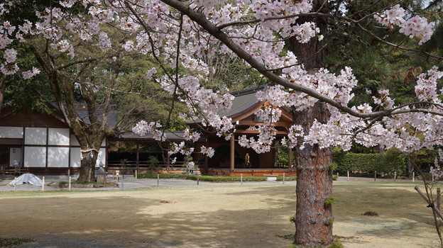 DSC01974