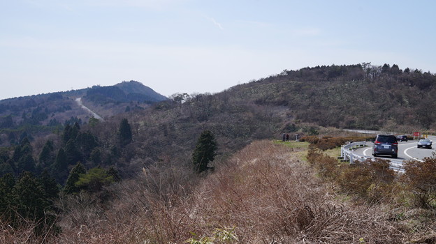 DSC02048箱根ターンパイク桜