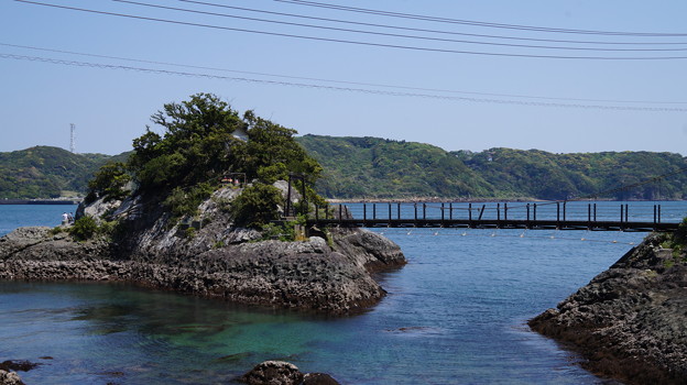 DSC02252 伊豆下田 下田海中水族館