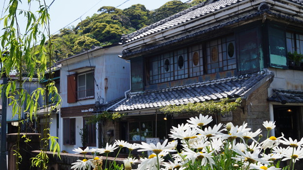 DSC02270 ペリーロード