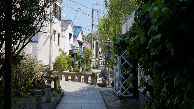 DSC02307 ペリーロード
