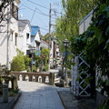 DSC02307　ペリーロード
