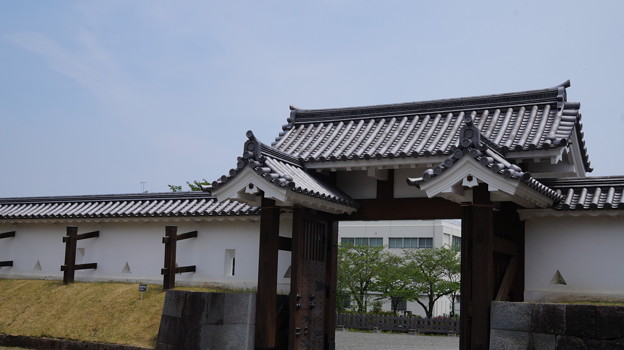 DSC02430小田原城址公園