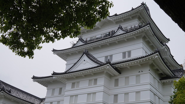 DSC02464小田原城