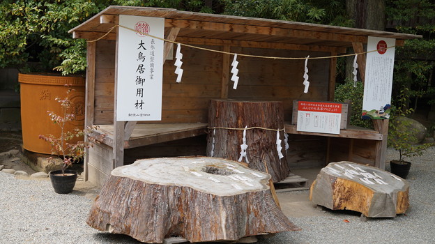 DSC02483小田原城址公園