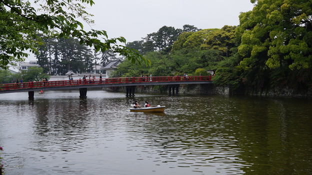DSC02500小田原城址公園