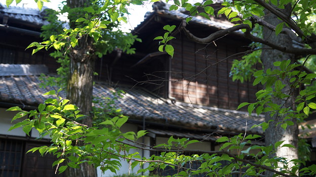 DSC02798たてもの園(高橋是清邸)