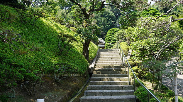 禅居院2