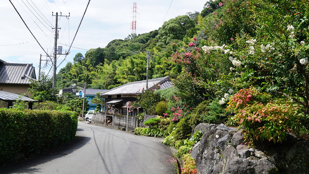 DSC03716