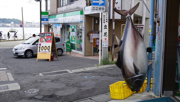 大人の遠足・三浦三崎3880